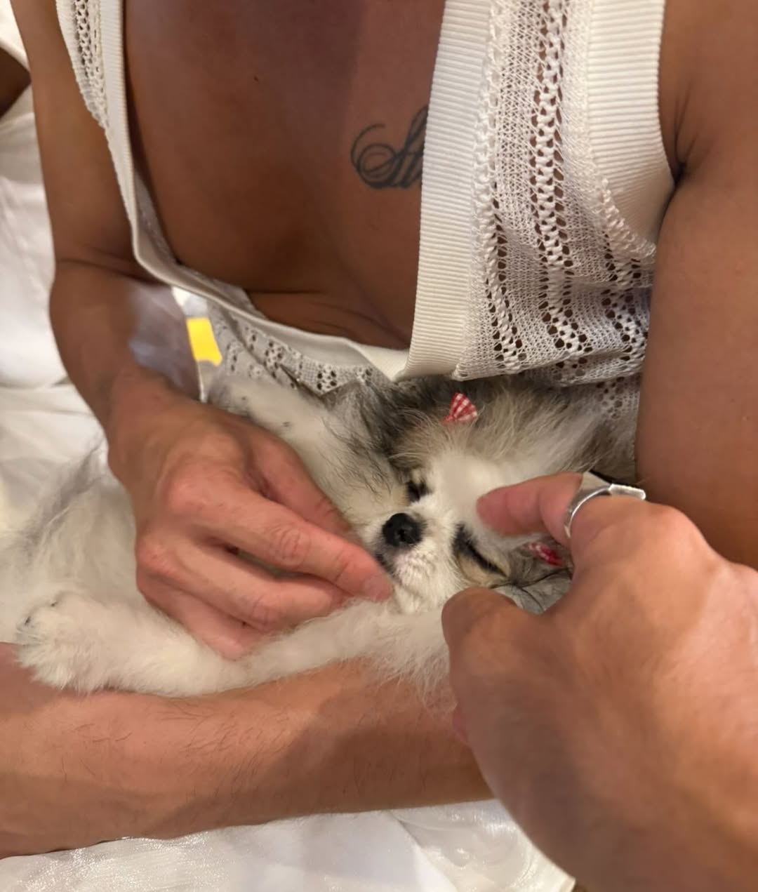 ซาบีน่า - อจิรภา ไมซิงเกอร์