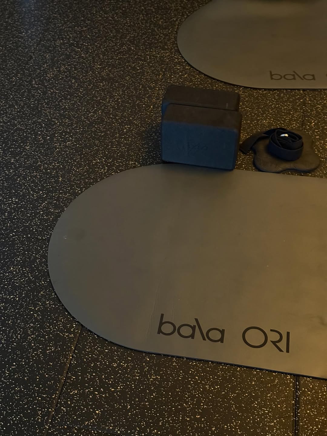 ซาบีน่า - อจิรภา ไมซิงเกอร์