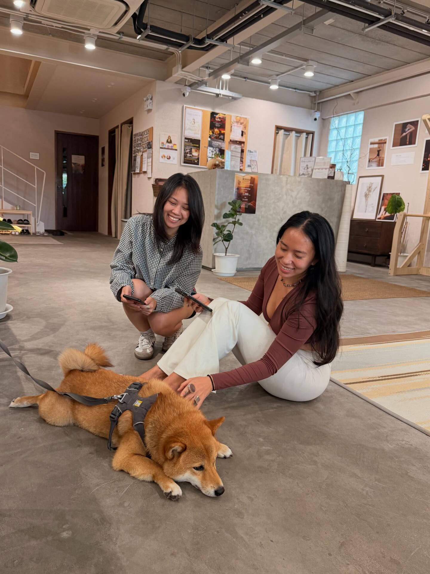 ซาบีน่า - อจิรภา ไมซิงเกอร์