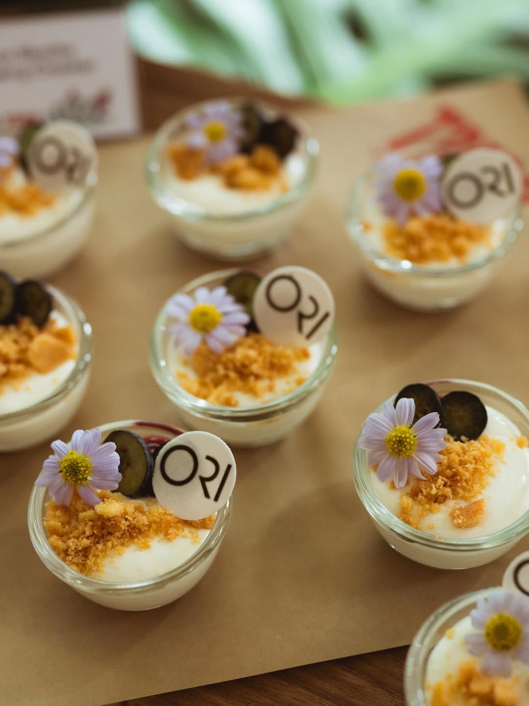 ซาบีน่า - อจิรภา ไมซิงเกอร์