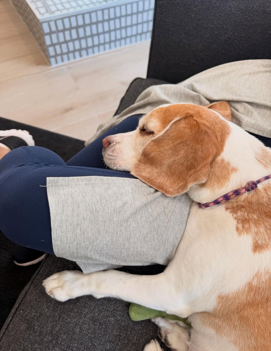 ซาบีน่า - อจิรภา ไมซิงเกอร์