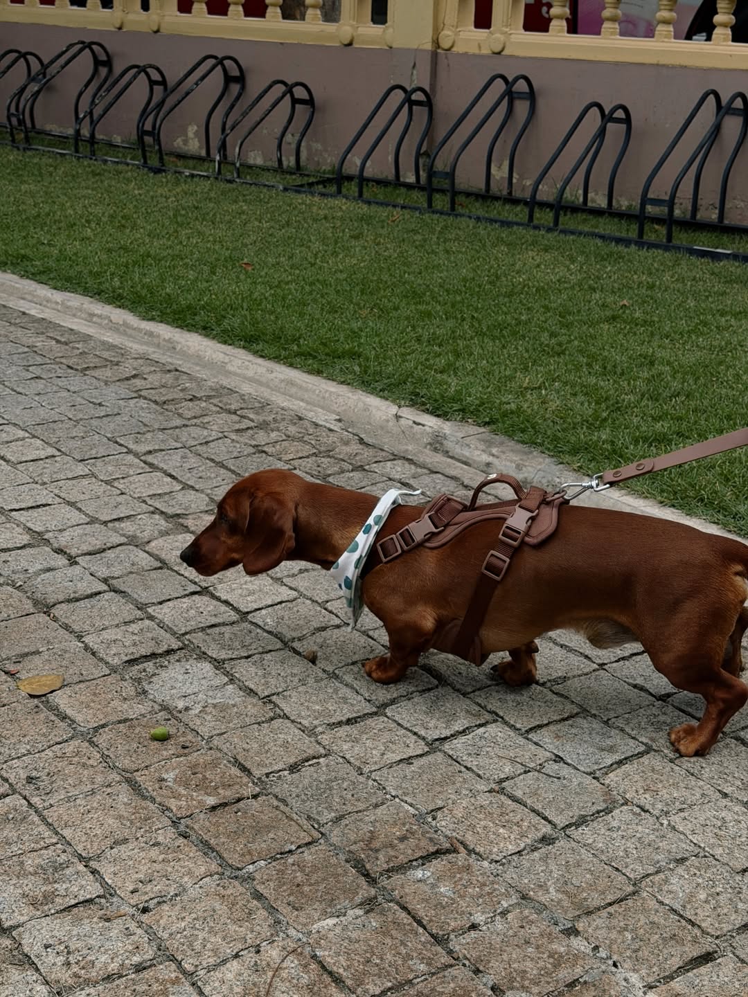 แบงค์ - มณฑป เหมตาล