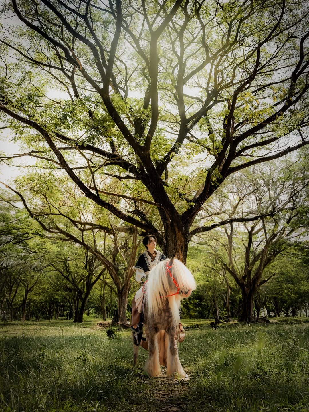 แบงค์ - มณฑป เหมตาล