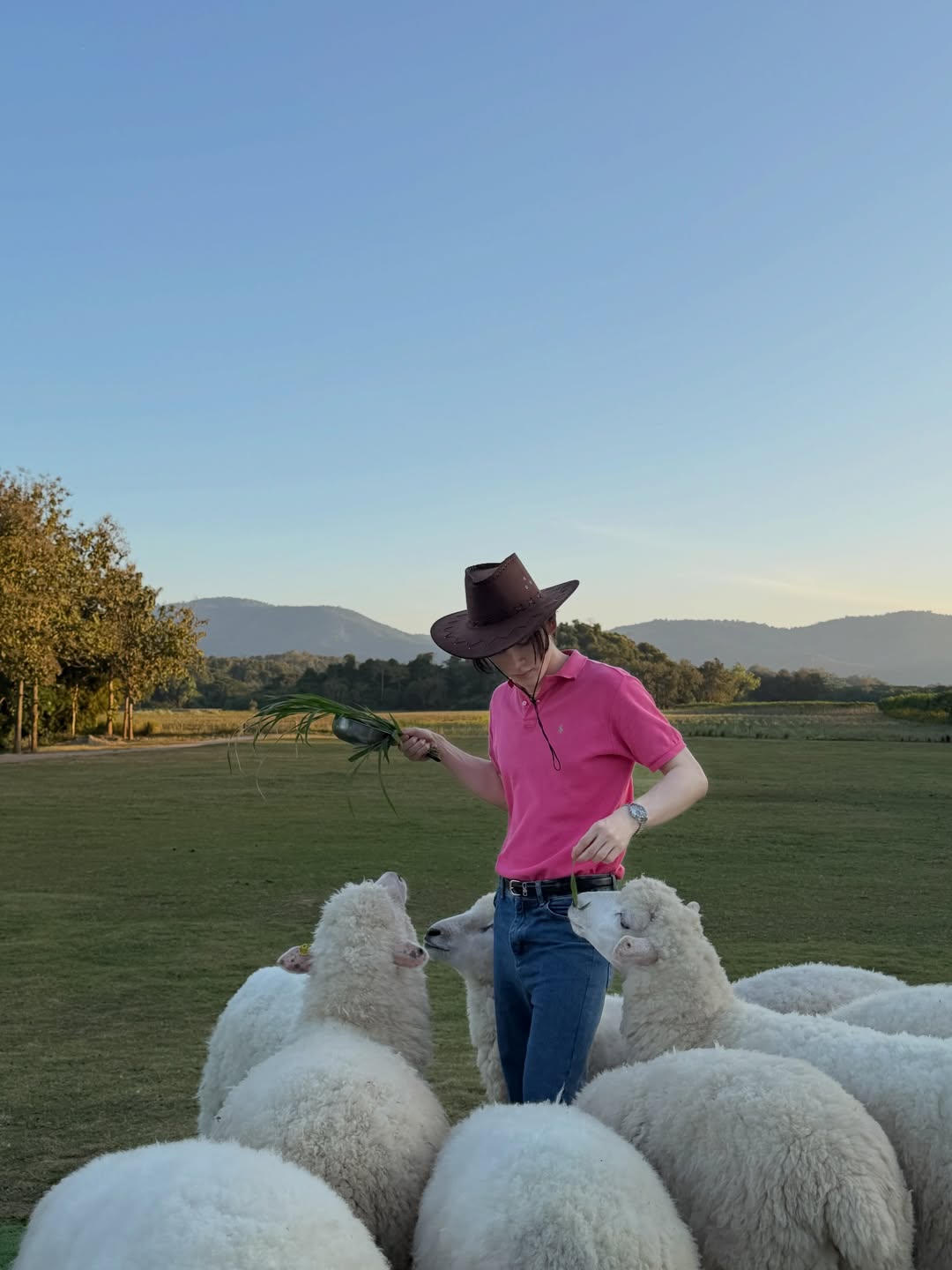 แบงค์ - มณฑป เหมตาล