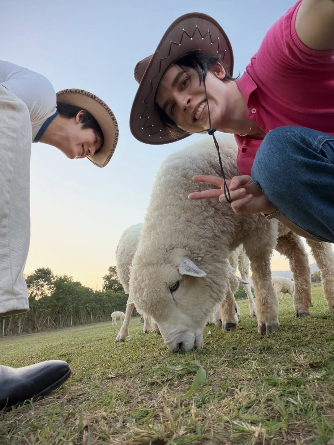 แบงค์ - มณฑป เหมตาล