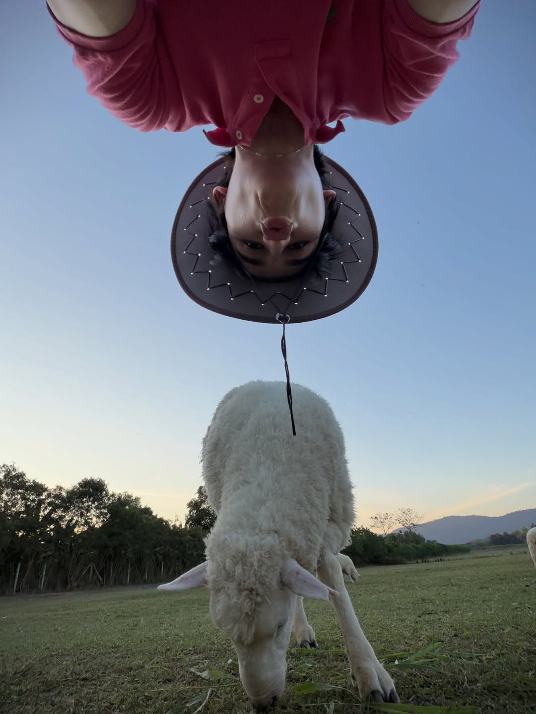 แบงค์ - มณฑป เหมตาล