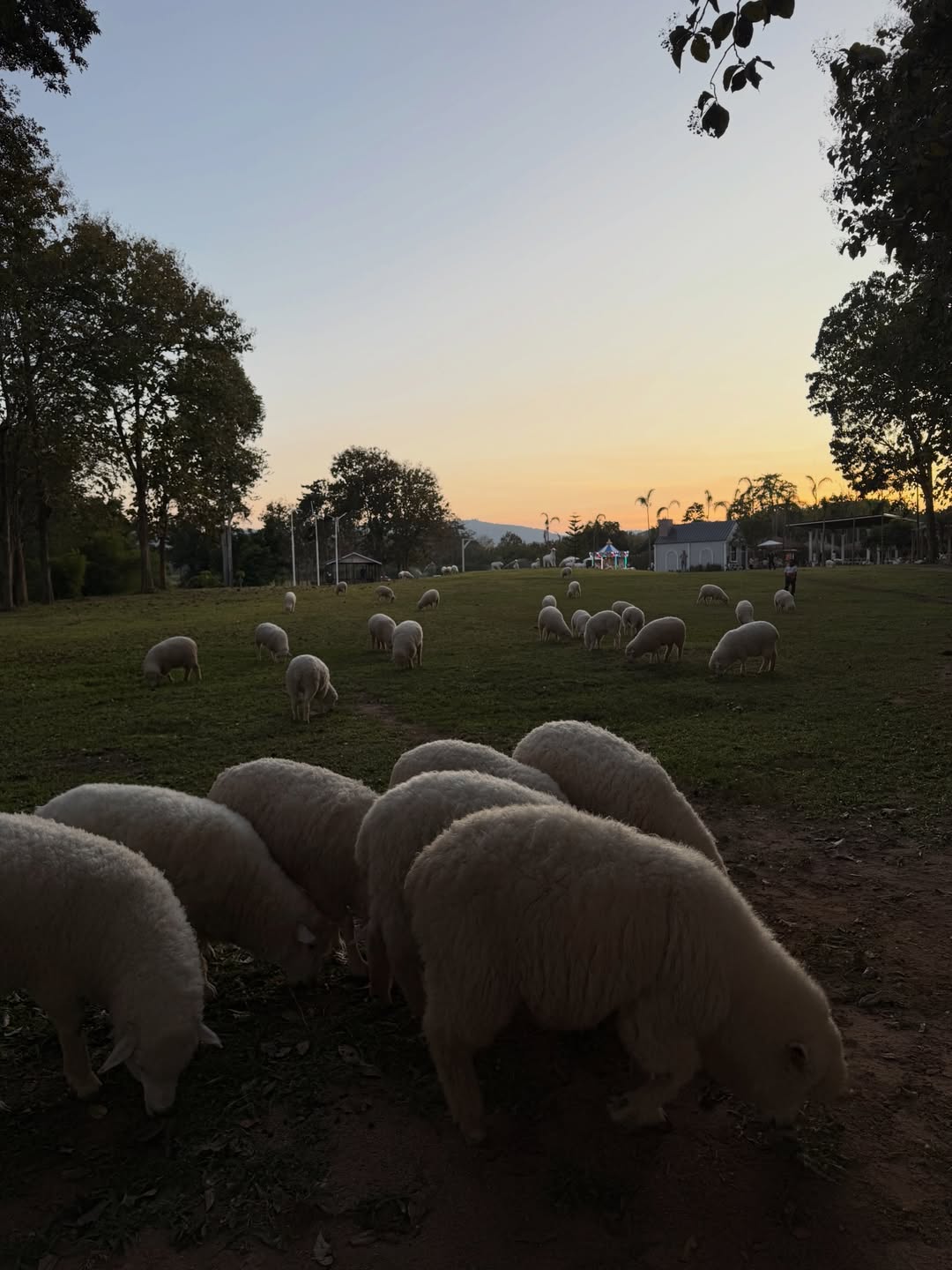 แบงค์ - มณฑป เหมตาล