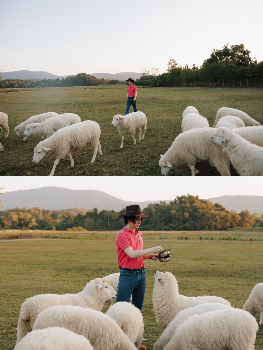 แบงค์ - มณฑป เหมตาล