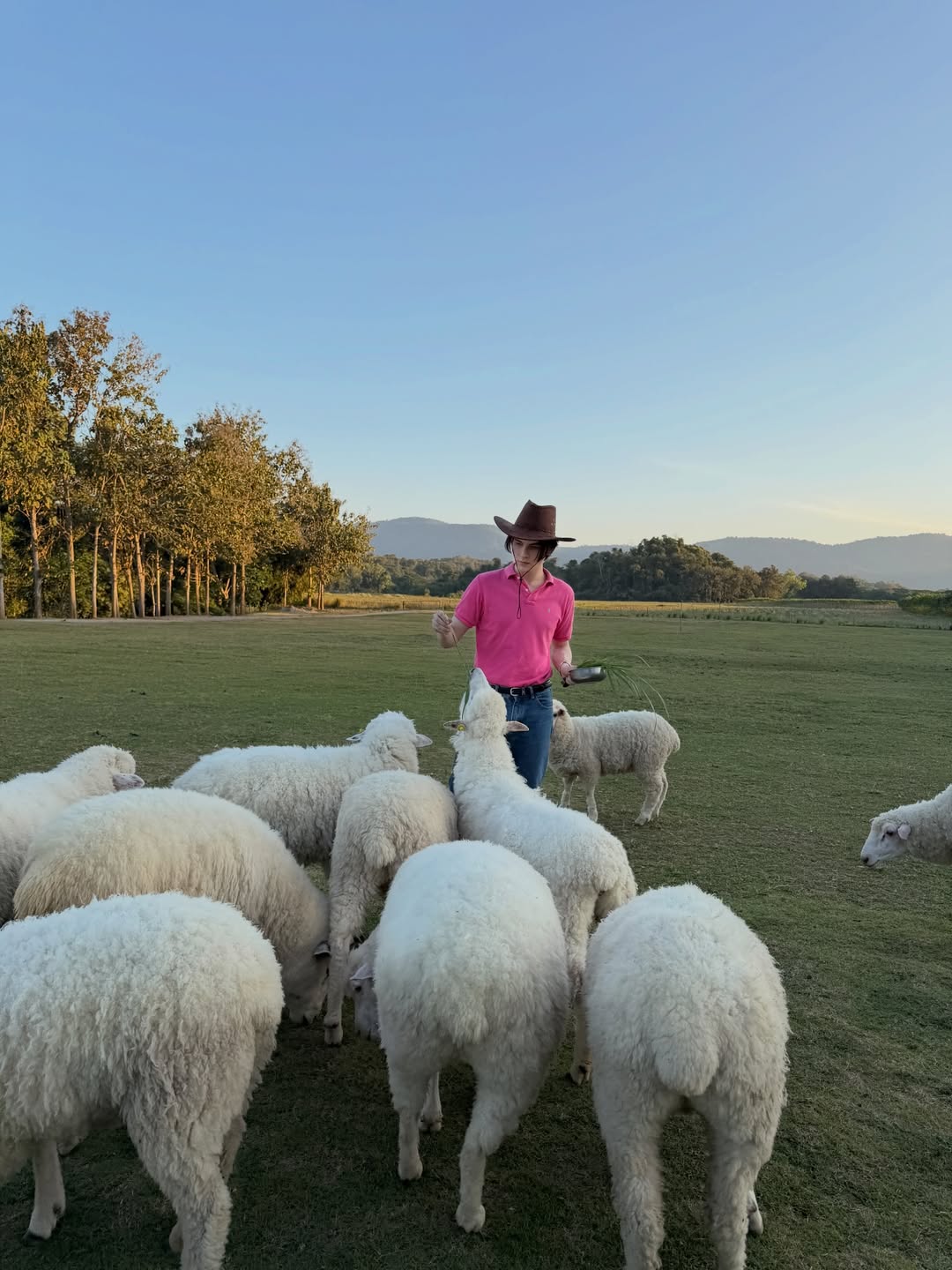 แบงค์ - มณฑป เหมตาล