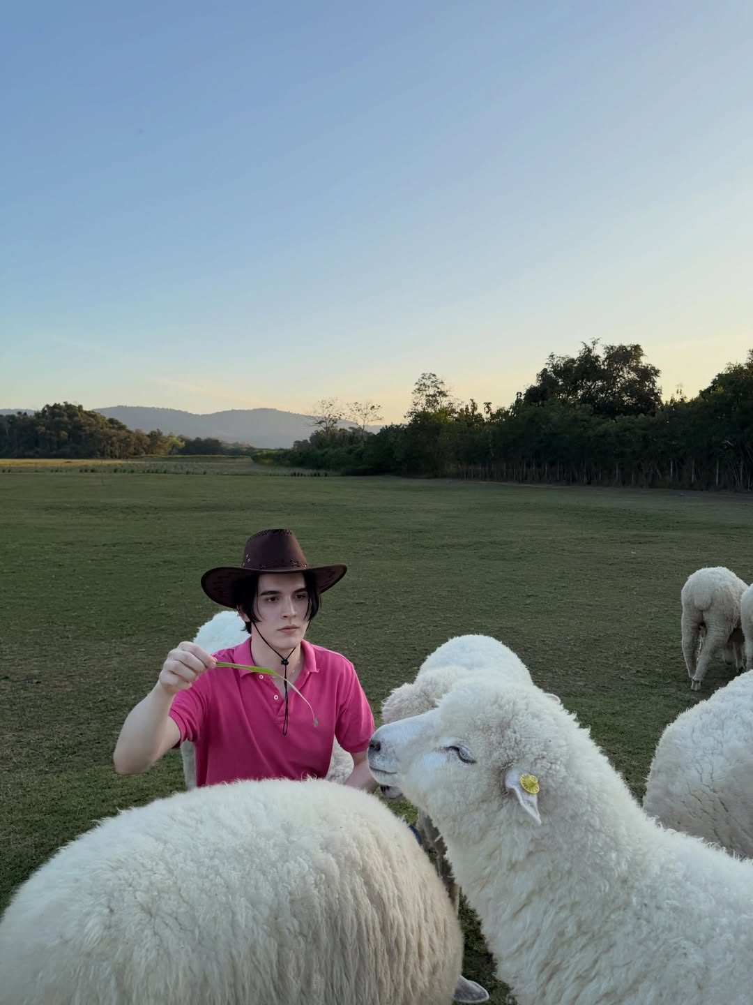 แบงค์ - มณฑป เหมตาล