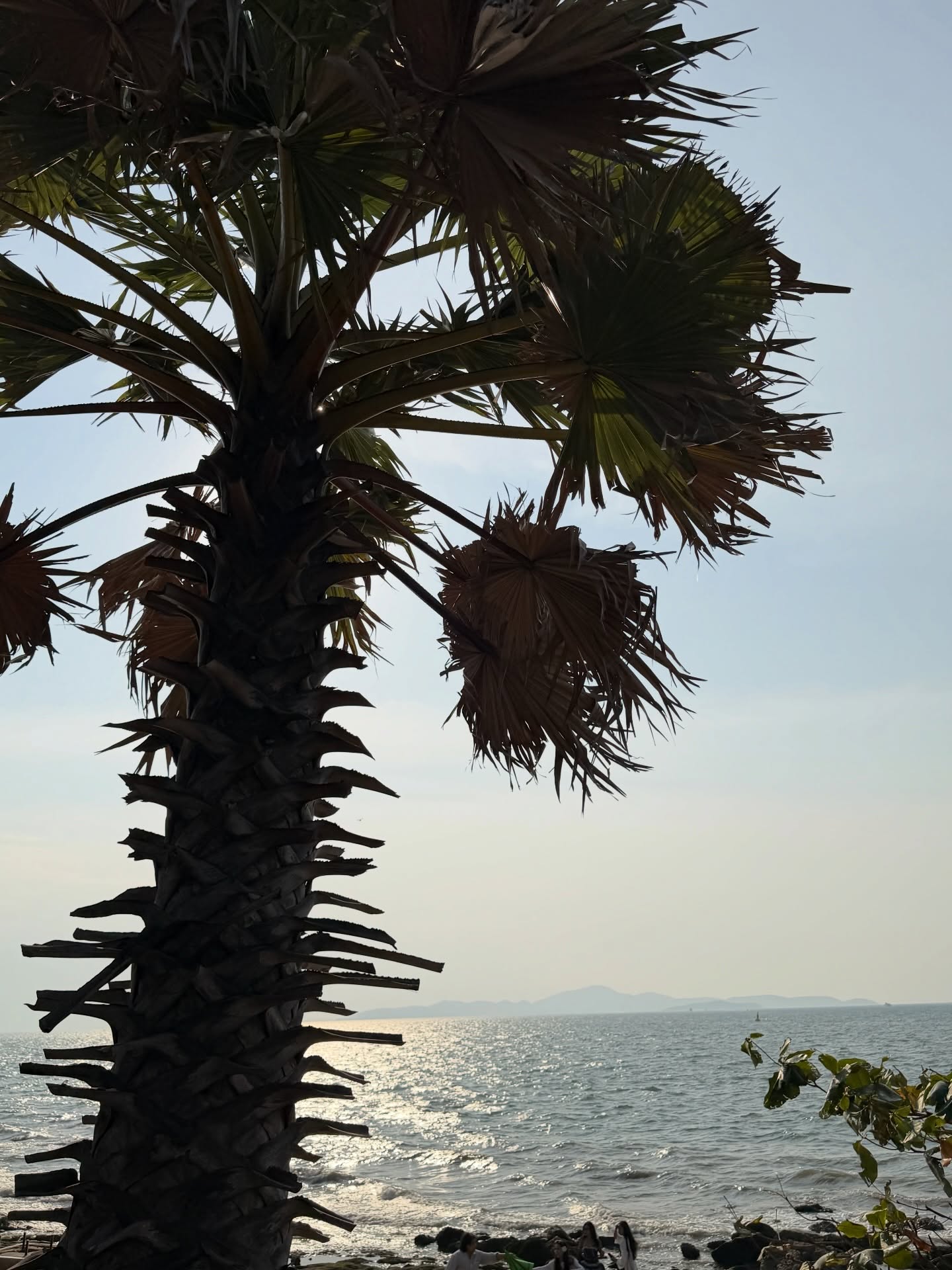 แบงค์ - มณฑป เหมตาล