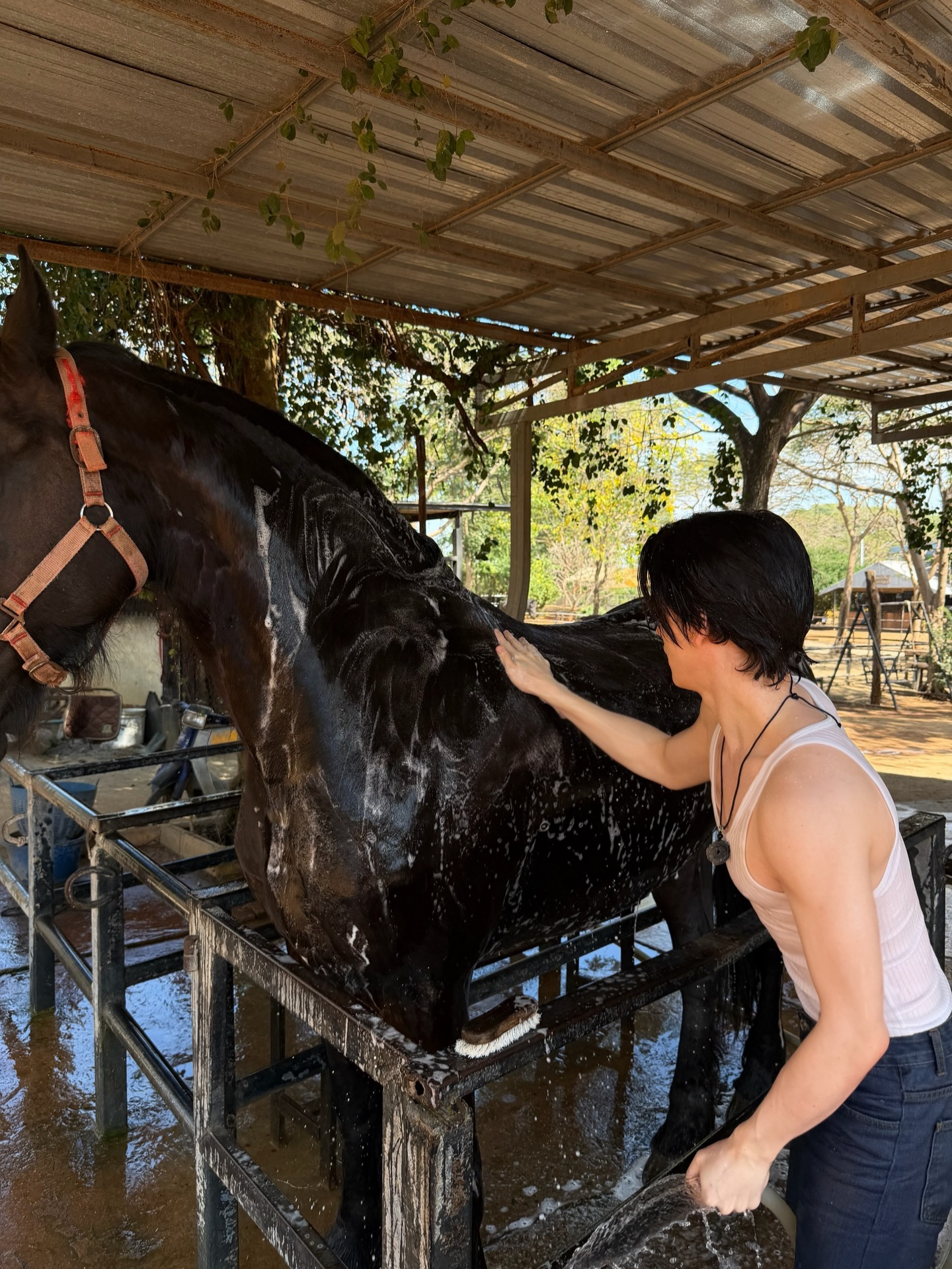 แบงค์ - มณฑป เหมตาล