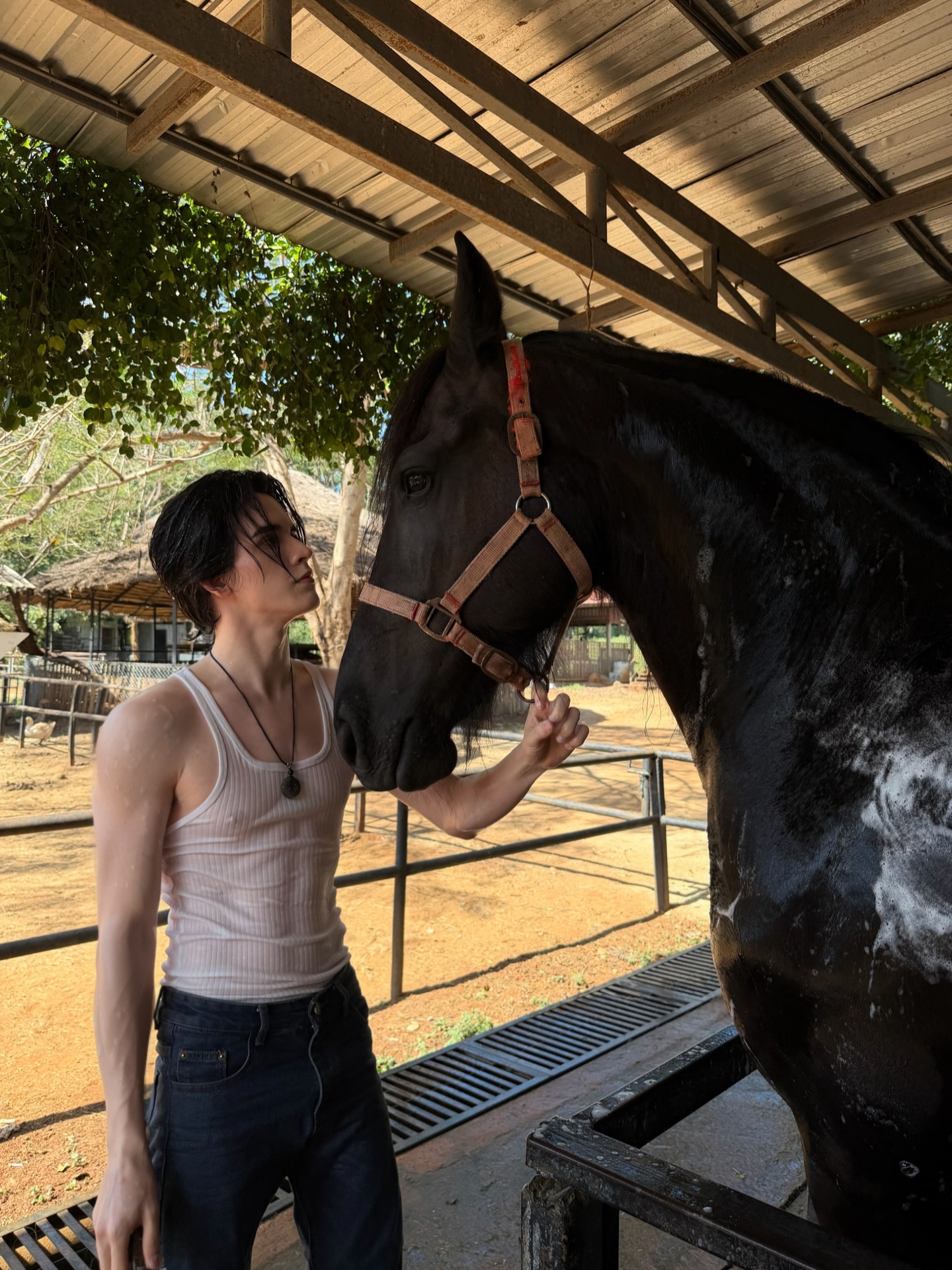 แบงค์ - มณฑป เหมตาล