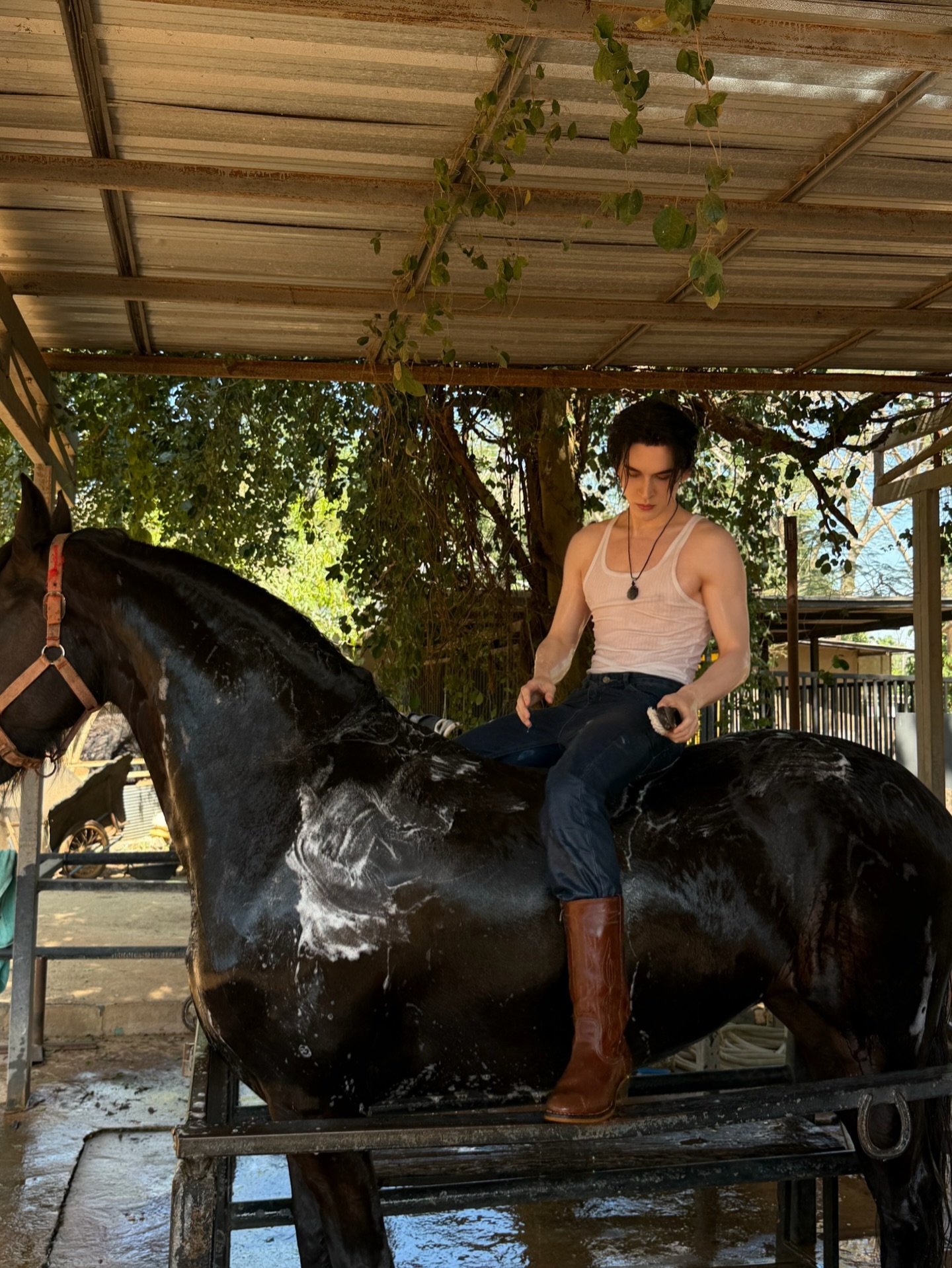 แบงค์ - มณฑป เหมตาล