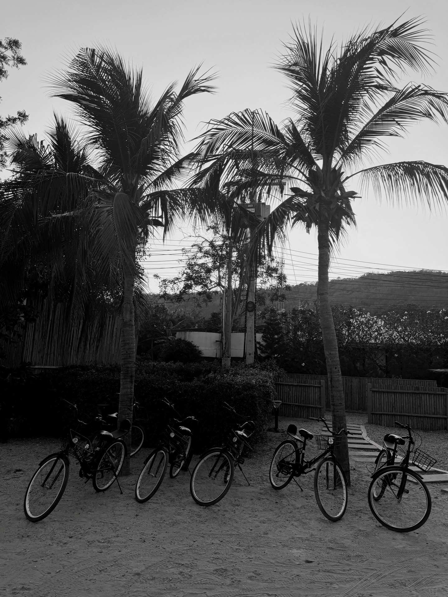 แบงค์ - มณฑป เหมตาล