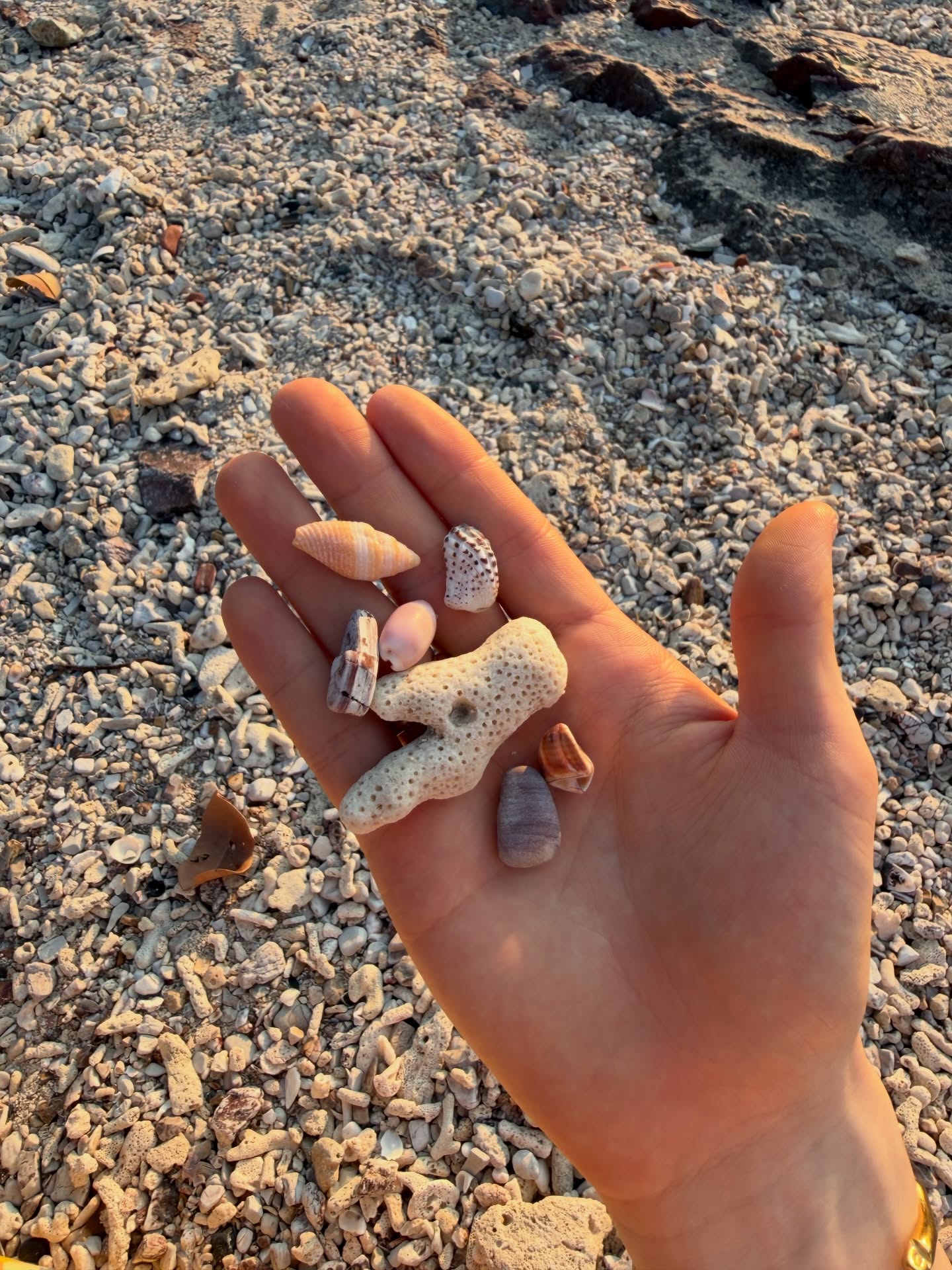 แบงค์ - มณฑป เหมตาล