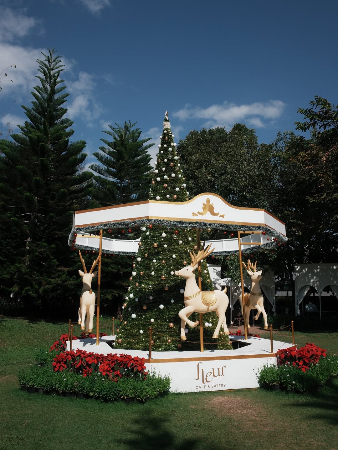 ฝ้าย - ณัฐหทัย แสงเพชร