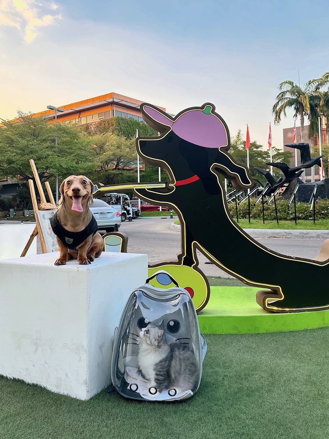 ไอซ์ - ภาณุวัฒน์ เปรมมณีนันท์