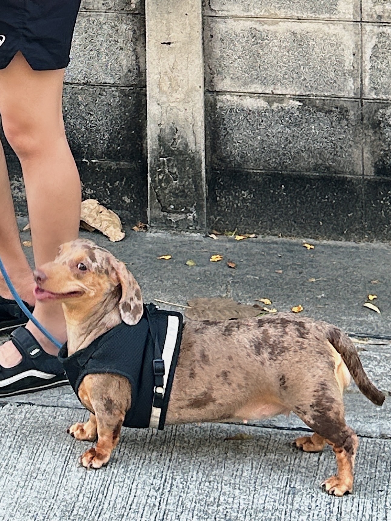 ไอซ์ - ภาณุวัฒน์ เปรมมณีนันท์