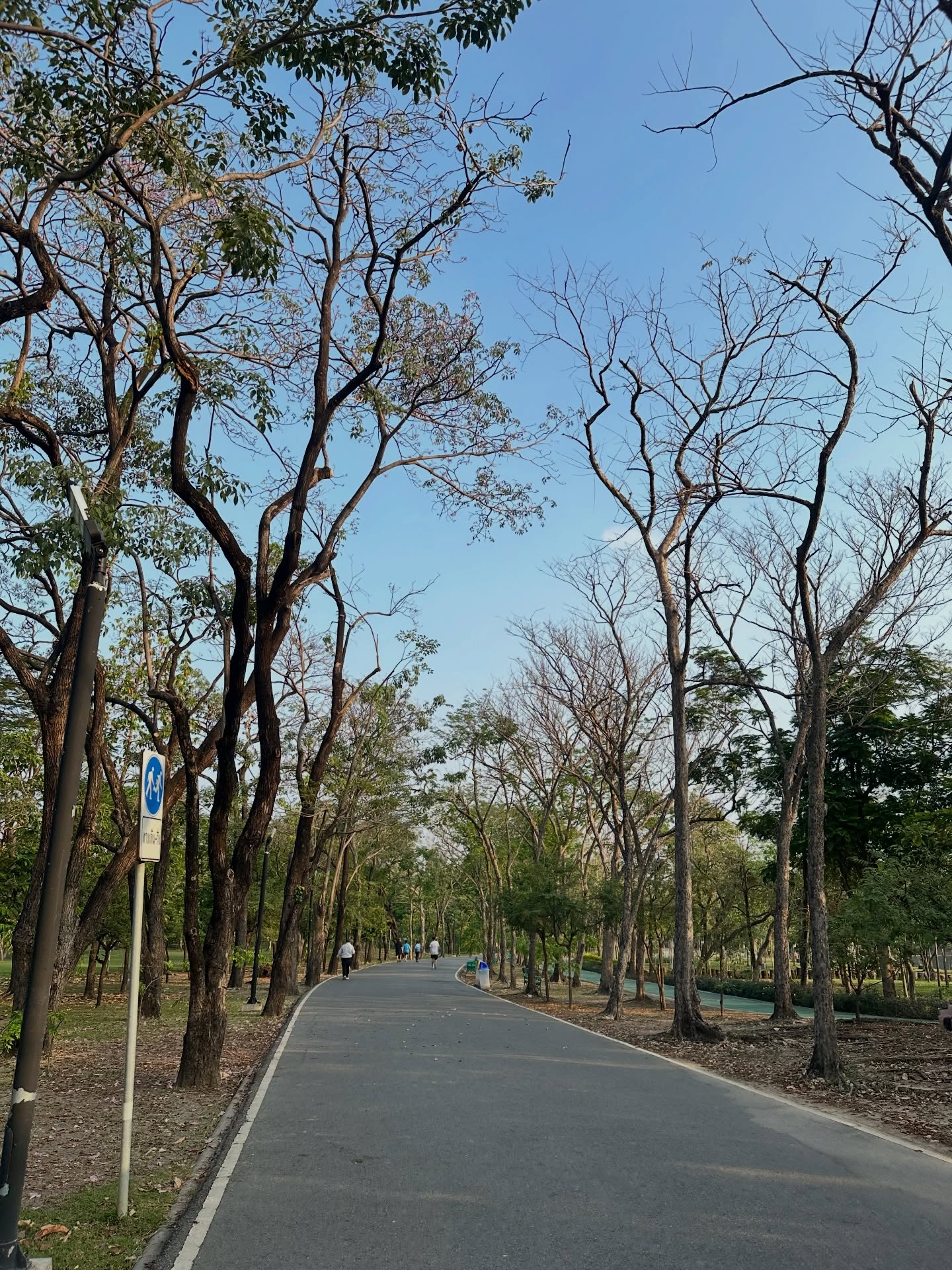 ไอซ์ - ภาณุวัฒน์ เปรมมณีนันท์