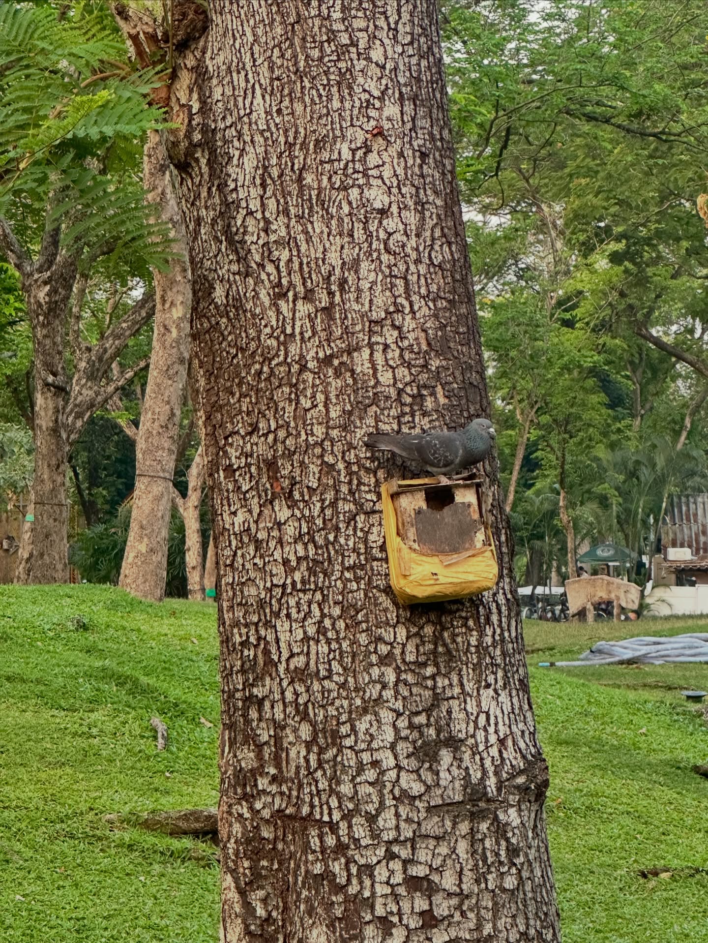ไอซ์ - ภาณุวัฒน์ เปรมมณีนันท์