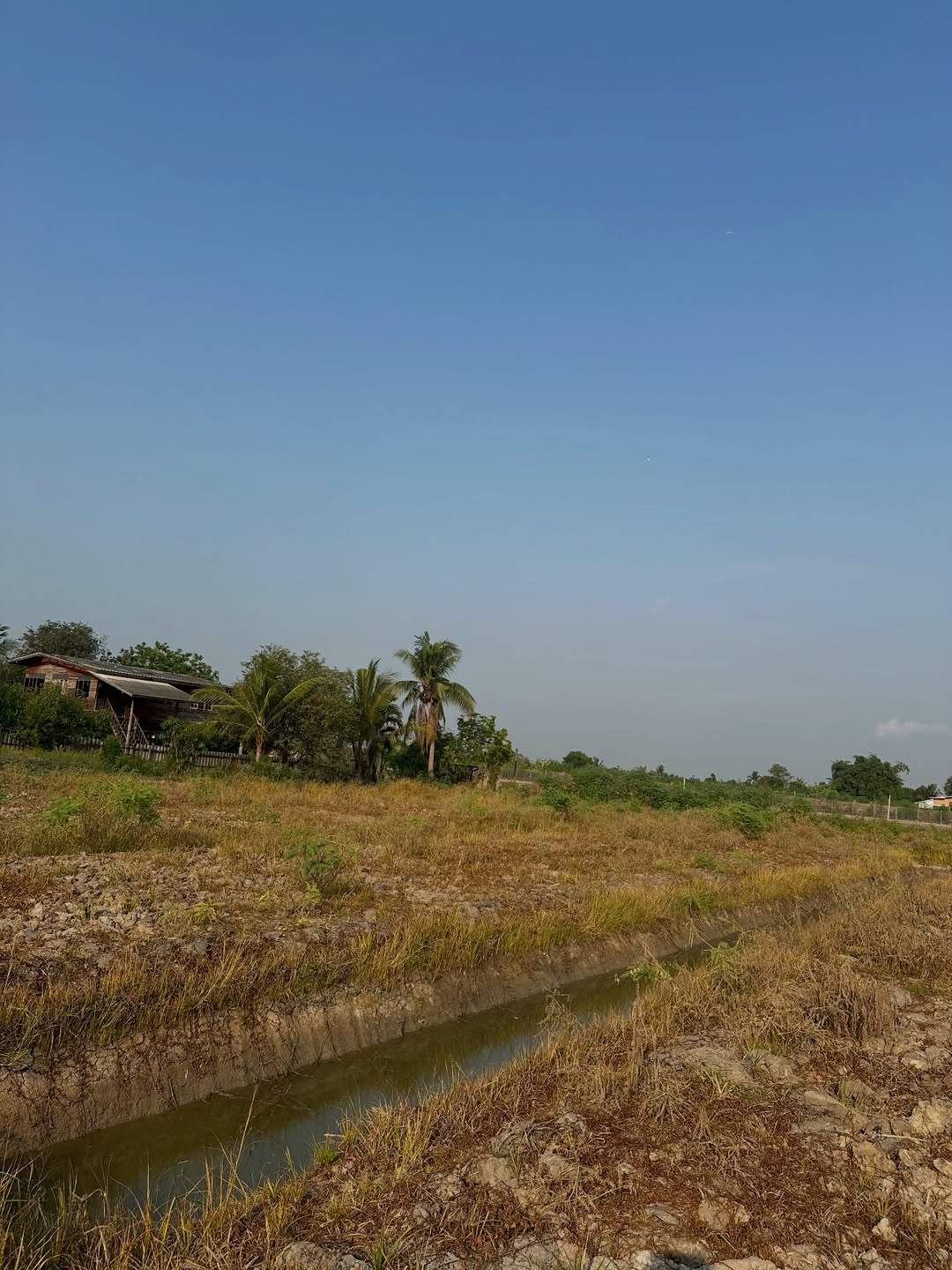 ไอซ์ - ภาณุวัฒน์ เปรมมณีนันท์