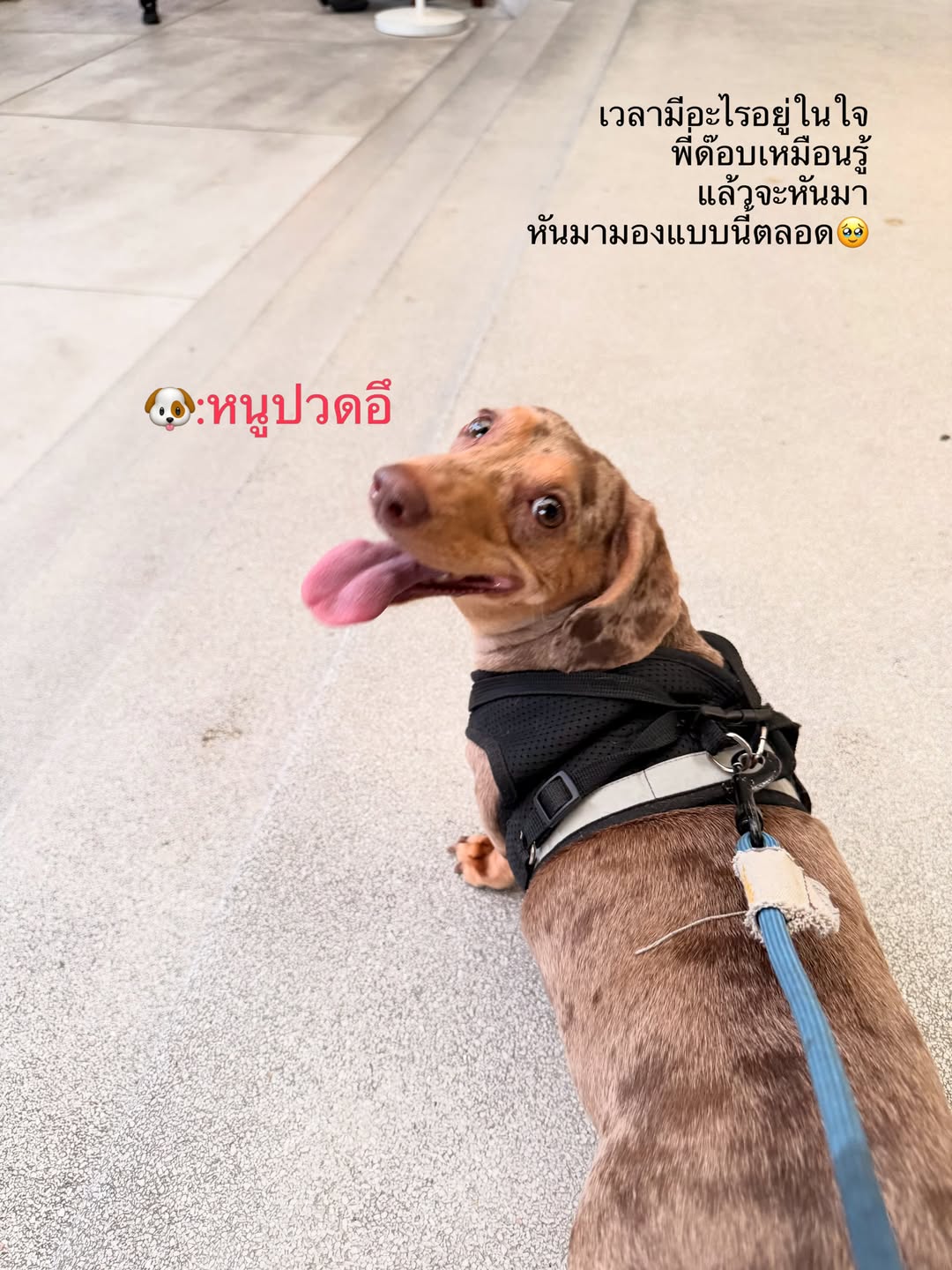 ไอซ์ - ภาณุวัฒน์ เปรมมณีนันท์