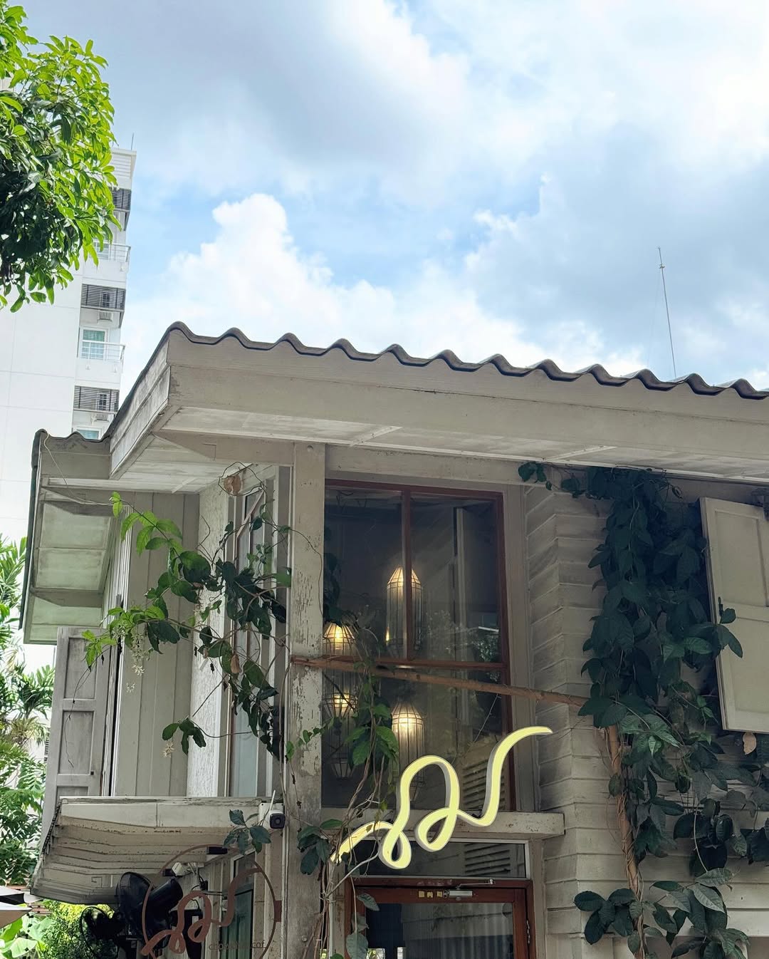 เดรก - สัตบุตร แลดิกี
