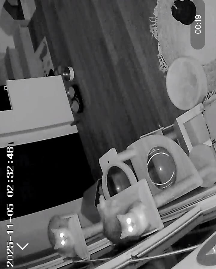 เดรก - สัตบุตร แลดิกี