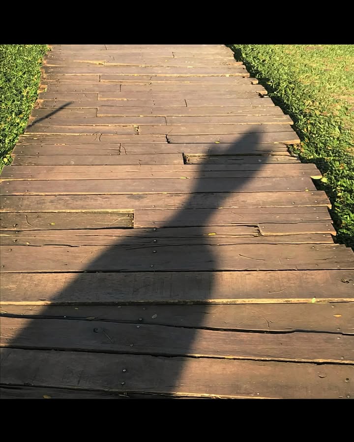 เดรก - สัตบุตร แลดิกี