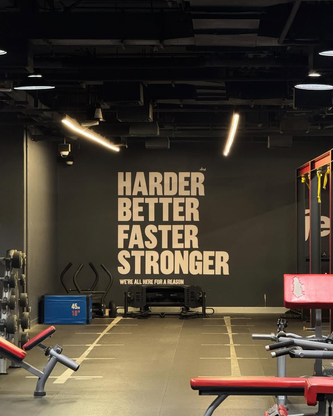 เดรก - สัตบุตร แลดิกี