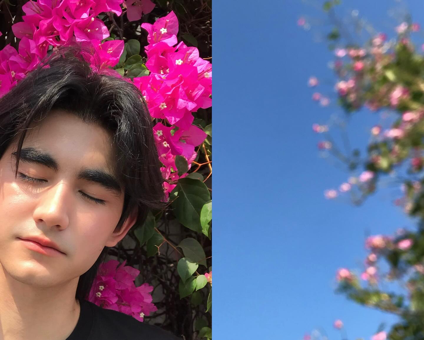 เดรก - สัตบุตร แลดิกี