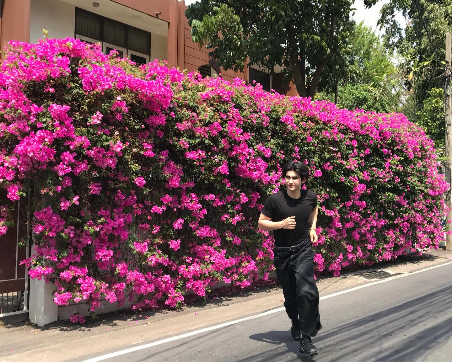 เดรก - สัตบุตร แลดิกี