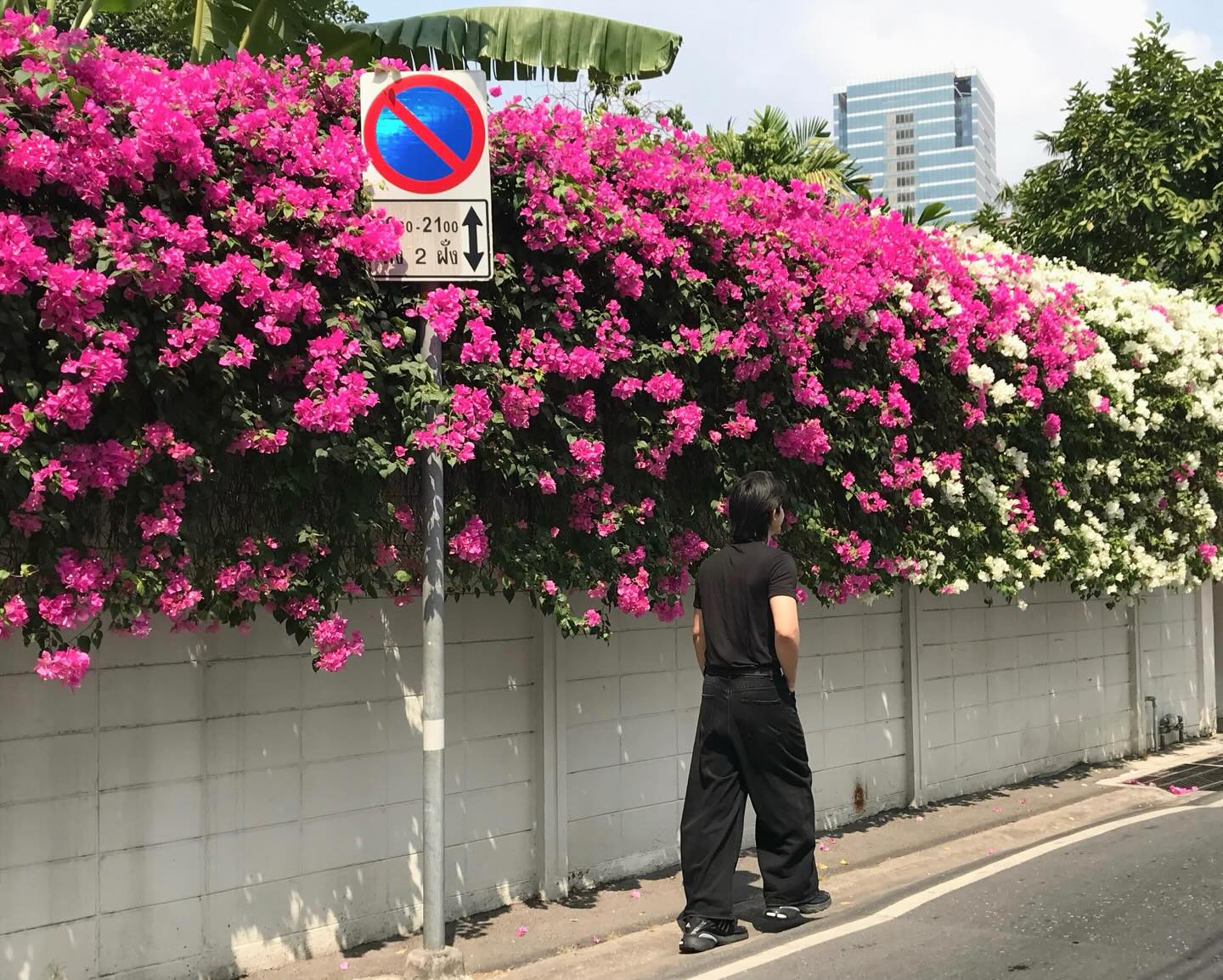 เดรก - สัตบุตร แลดิกี