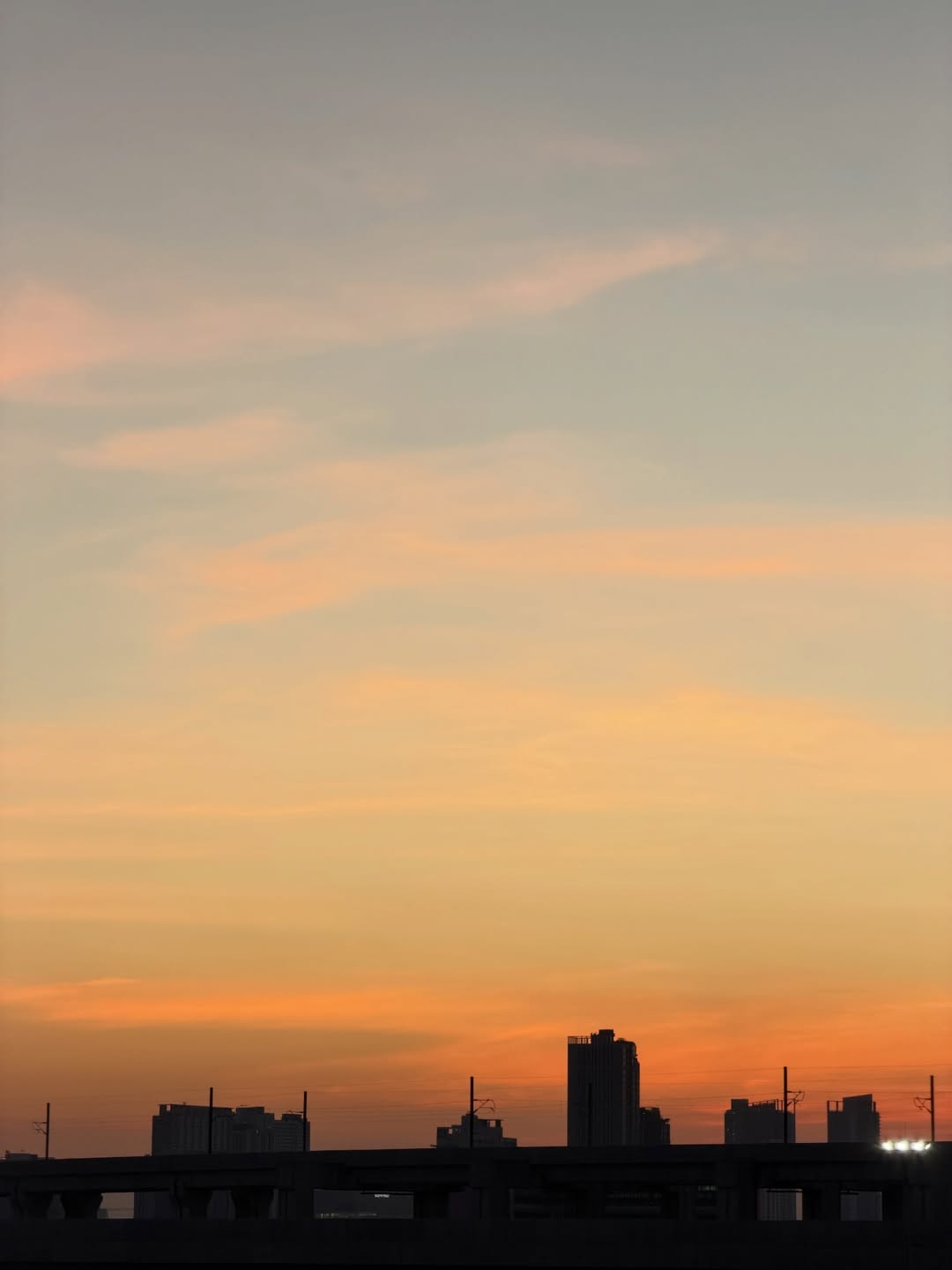 ฟอส - จิรัชพงศ์ ศรีแสง