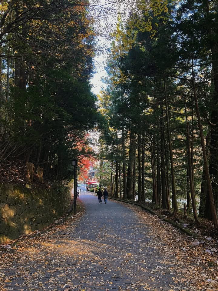 แฟรงค์ - ธนัตถ์ศรันย์ ซำทองไหล