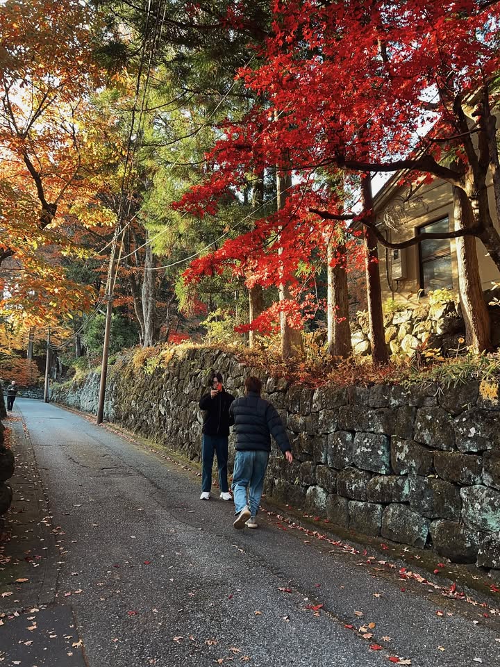 แฟรงค์ - ธนัตถ์ศรันย์ ซำทองไหล