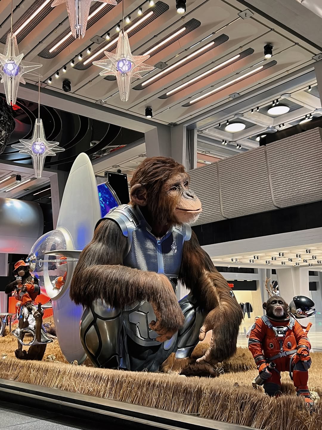 แฟรงค์ - ธนัตถ์ศรันย์ ซำทองไหล