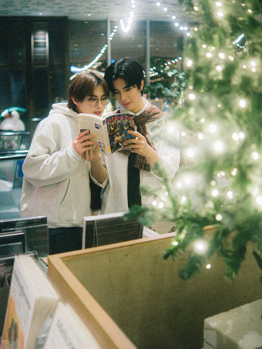 แฟรงค์ - ธนัตถ์ศรันย์ ซำทองไหล