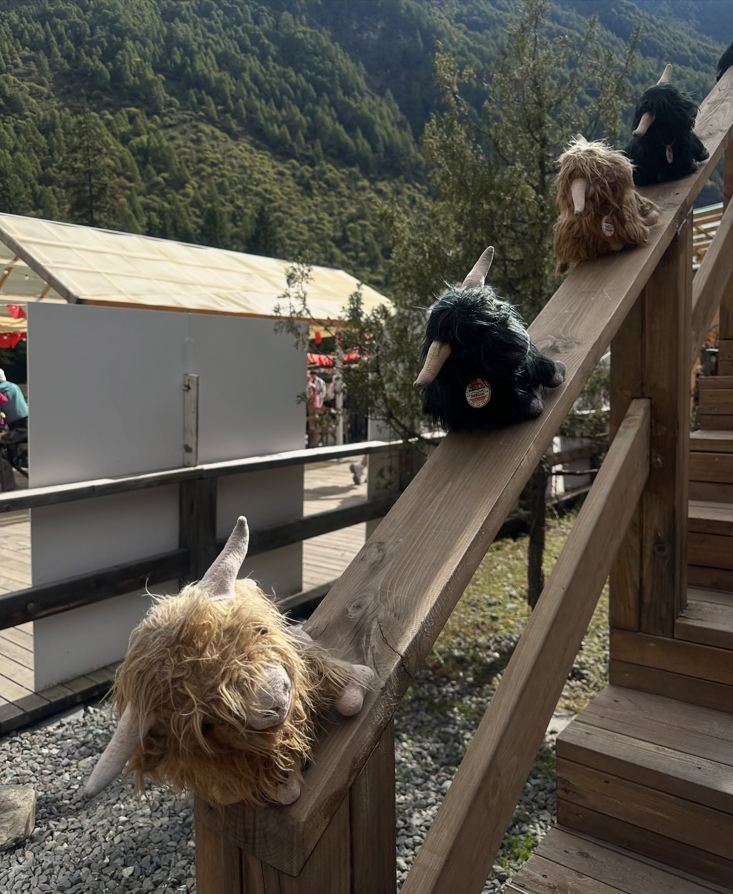 แฟรงค์ - ธนัตถ์ศรันย์ ซำทองไหล