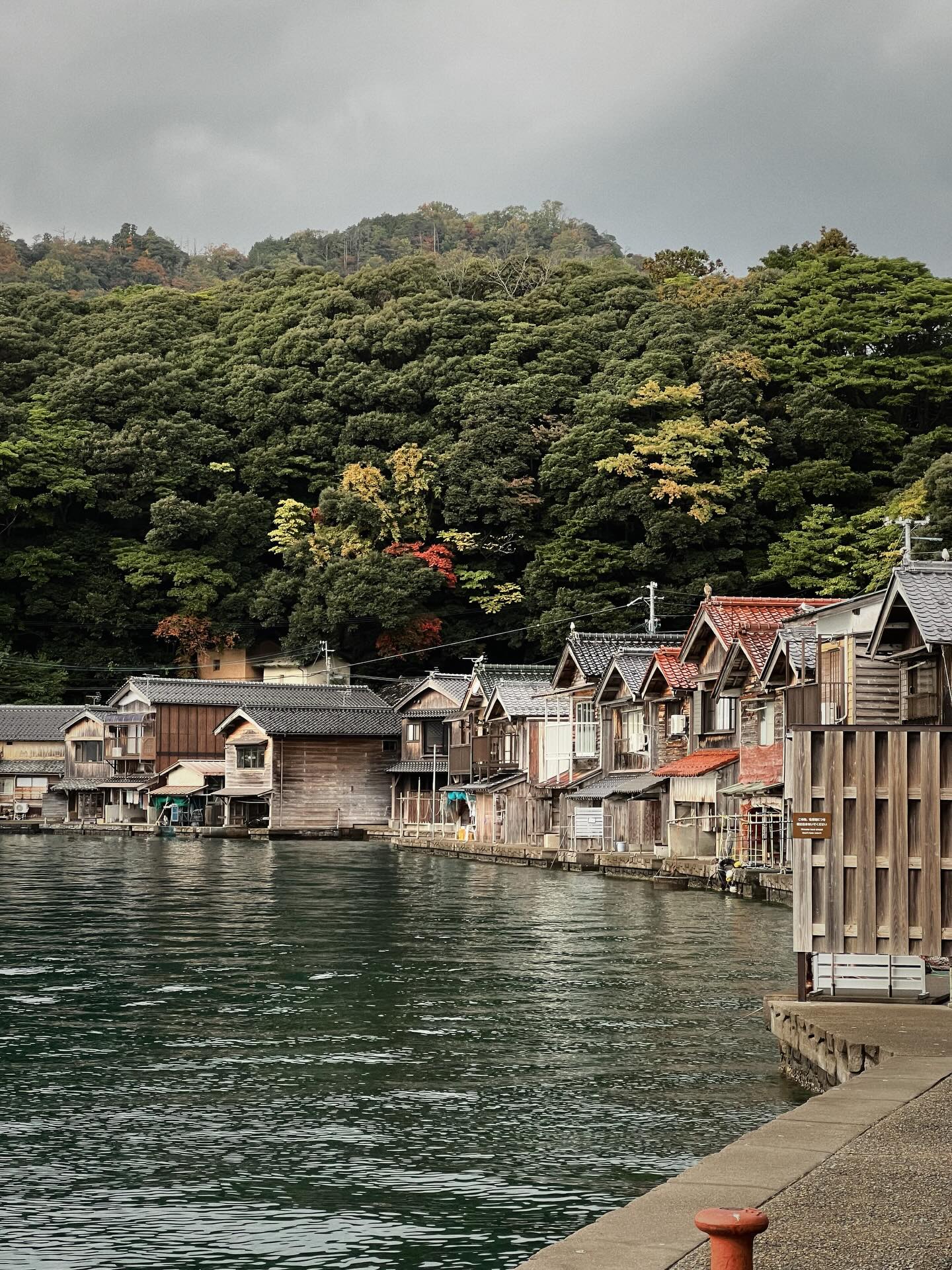 แฟรงค์ - ธนัตถ์ศรันย์ ซำทองไหล