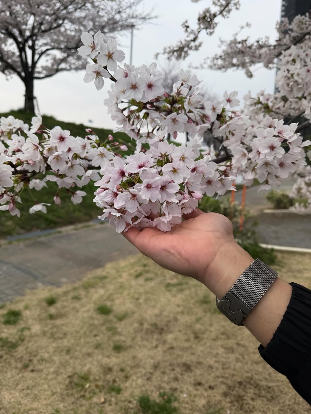 แฟรงค์ - ธนัตถ์ศรันย์ ซำทองไหล