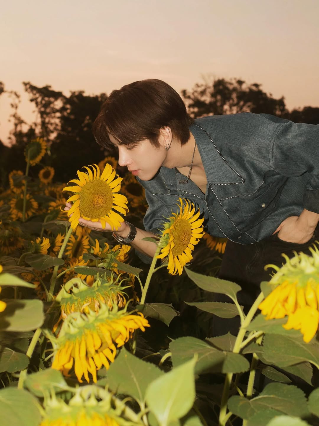 แฟรงค์ - ธนัตถ์ศรันย์ ซำทองไหล