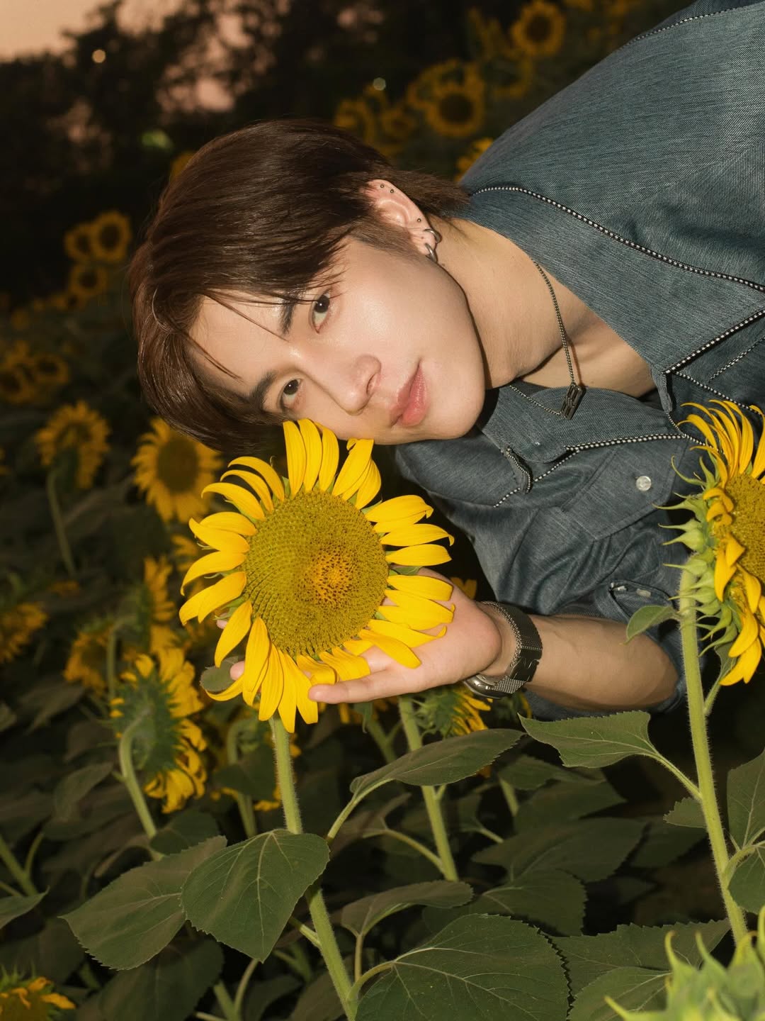 แฟรงค์ - ธนัตถ์ศรันย์ ซำทองไหล