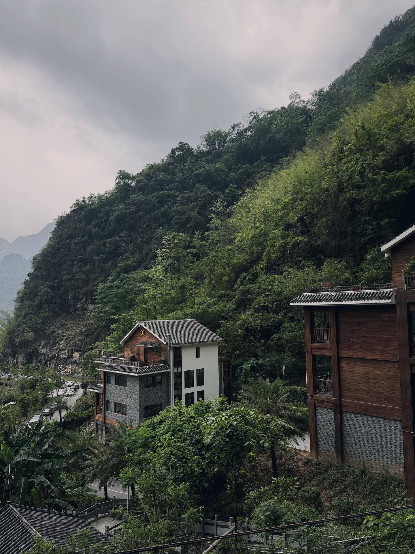 แฟรงค์ - ธนัตถ์ศรันย์ ซำทองไหล