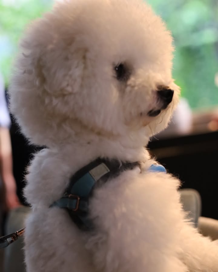 บาร์โค้ด - ตฤณสิษฐ์ อิสระพงศ์พร