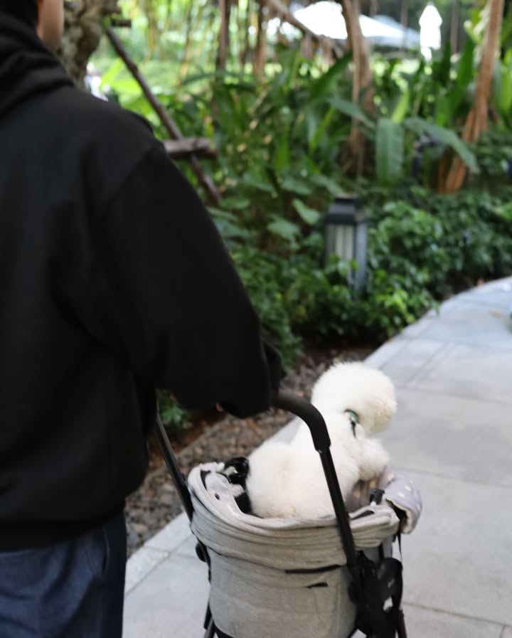 บาร์โค้ด - ตฤณสิษฐ์ อิสระพงศ์พร