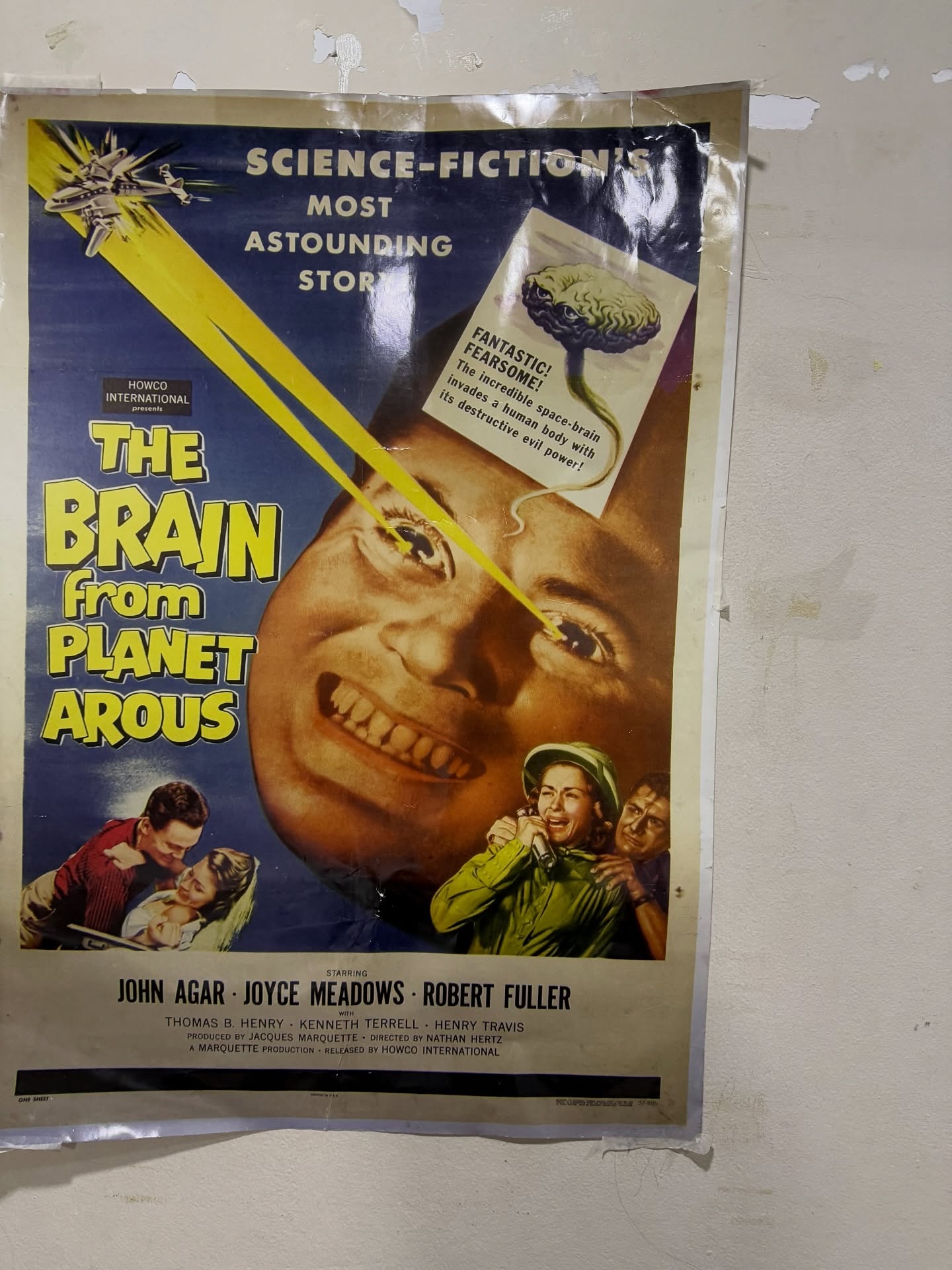 โชกุน - ปวริศร์ ศรีชัยชนะ