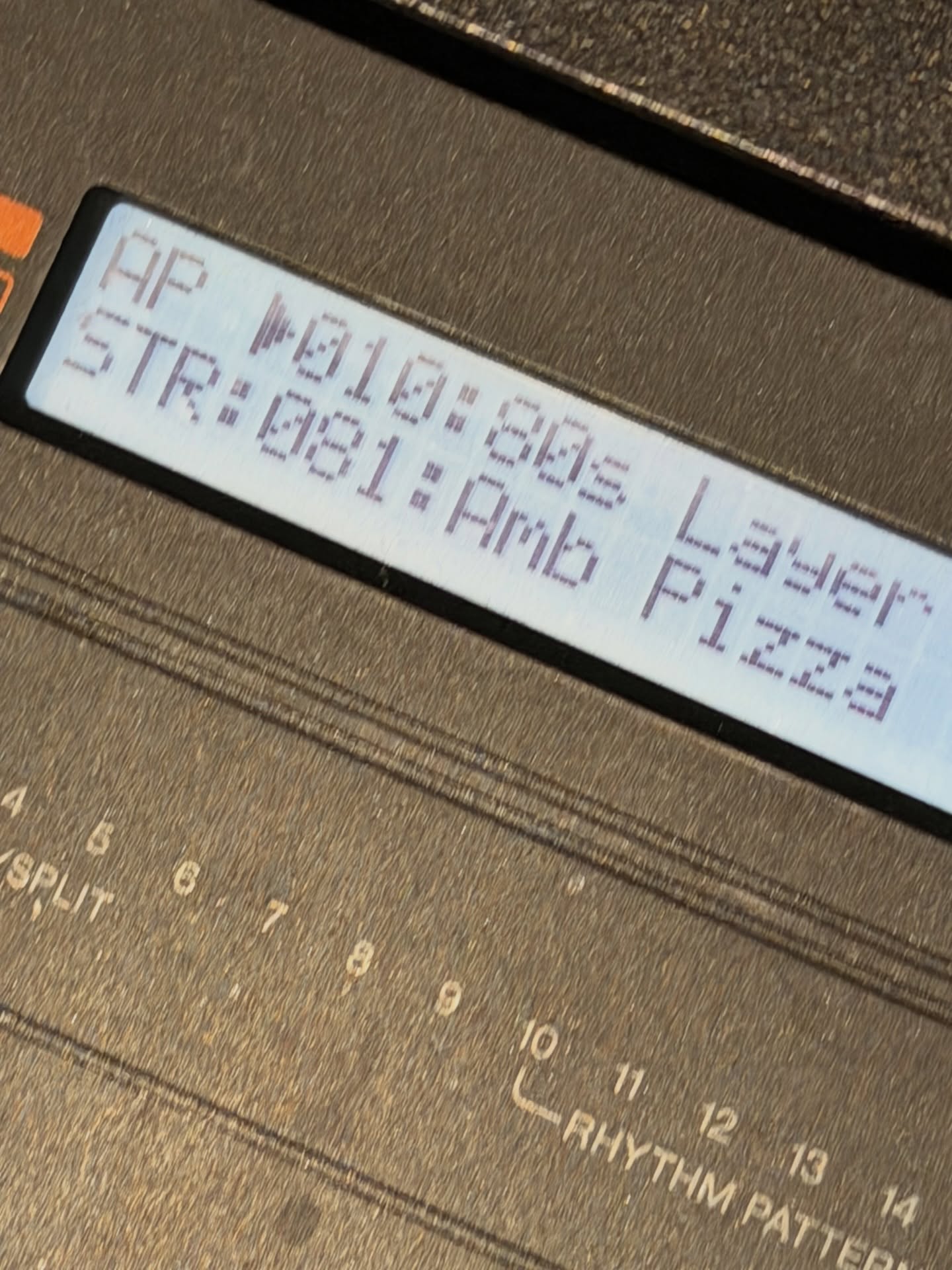 โชกุน - ปวริศร์ ศรีชัยชนะ