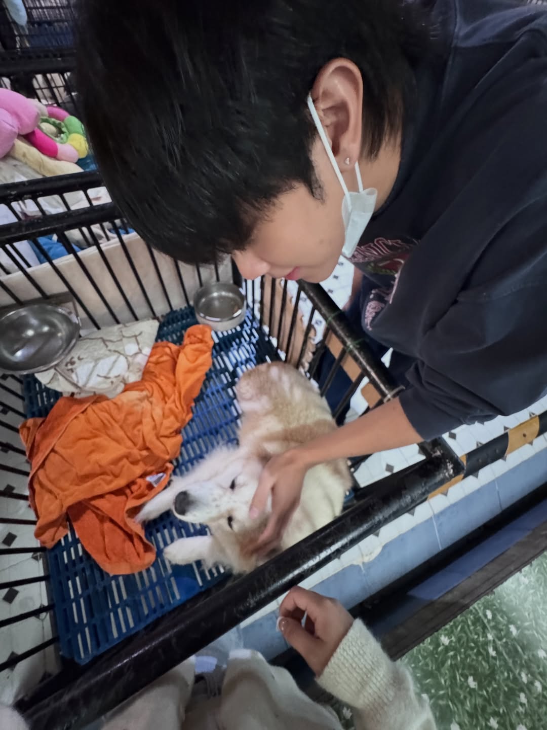 โชกุน - ปวริศร์ ศรีชัยชนะ